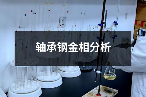 軸承鋼金相分析