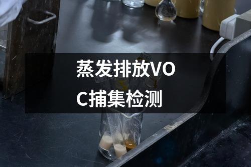 蒸發(fā)排放VOC捕集檢測