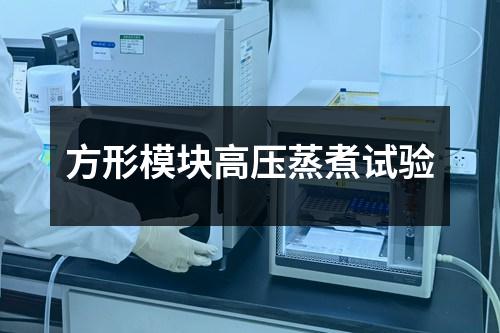 方形模塊高壓蒸煮試驗