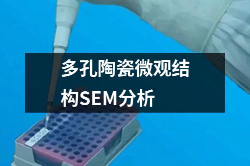 多孔陶瓷微觀結(jié)構(gòu)SEM分析