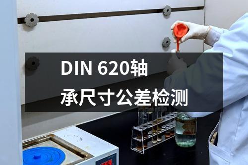 DIN 620軸承尺寸公差檢測
