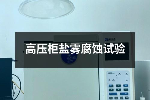 高壓柜鹽霧腐蝕試驗