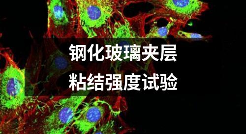 鋼化玻璃夾層粘結(jié)強(qiáng)度試驗(yàn)