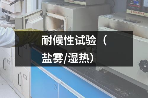 耐候性試驗(yàn)（鹽霧/濕熱）