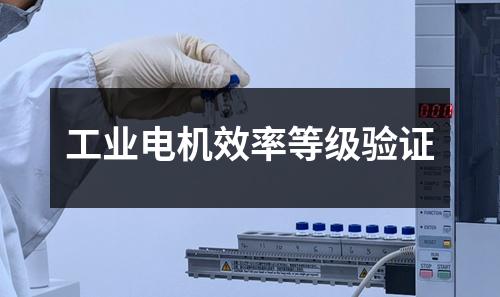 工業(yè)電機(jī)效率等級(jí)驗(yàn)證