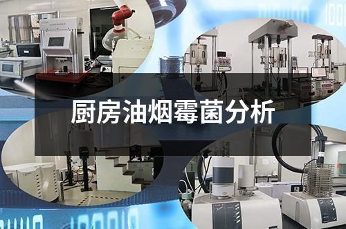 廚房油煙霉菌分析