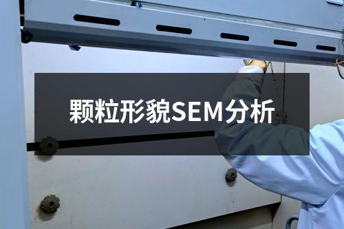 顆粒形貌SEM分析