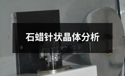 石蠟針狀晶體分析