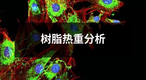 樹脂熱重分析