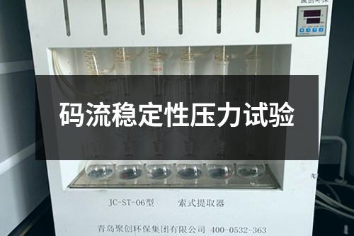 碼流穩(wěn)定性壓力試驗(yàn)