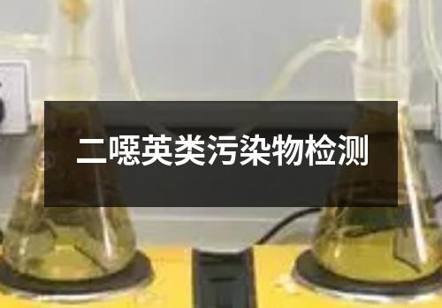 二噁英類污染物檢測
