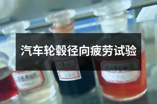 汽車輪轂徑向疲勞試驗