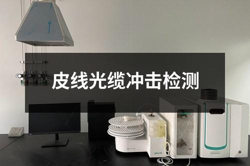 皮線光纜沖擊檢測