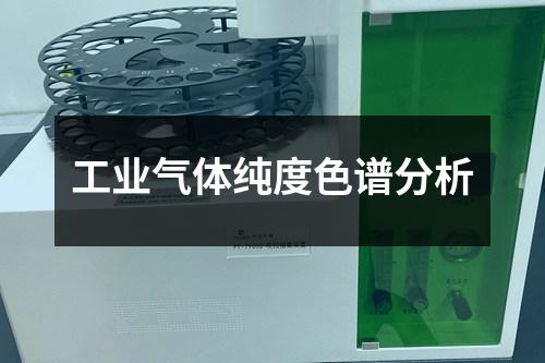工業(yè)氣體純度色譜分析
