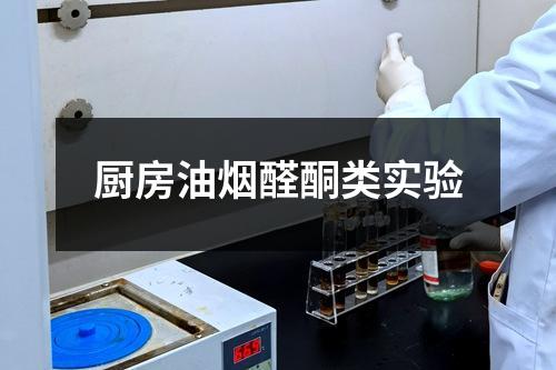 廚房油煙醛酮類實驗