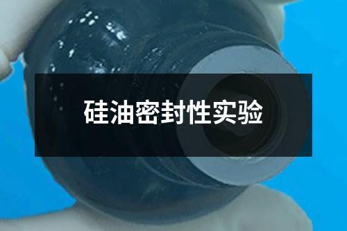 硅油密封性實(shí)驗(yàn)