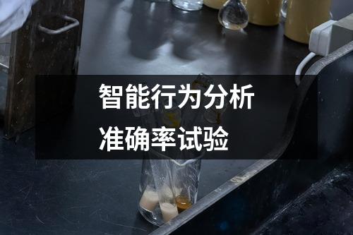 智能行為分析準(zhǔn)確率試驗