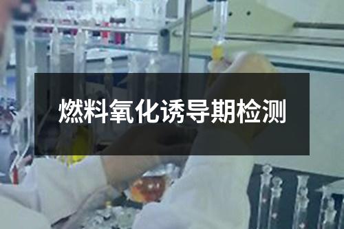 燃料氧化誘導期檢測