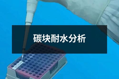 碳塊耐水分析