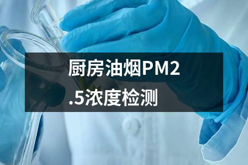 廚房油煙PM2.5濃度檢測(cè)