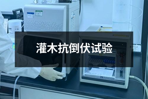 灌木抗倒伏試驗(yàn)