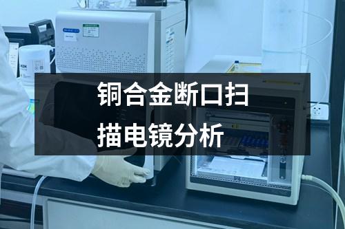 銅合金斷口掃描電鏡分析