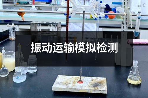 振動運輸模擬檢測