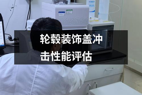 輪轂裝飾蓋沖擊性能評估