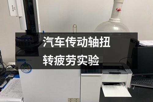 汽車傳動軸扭轉(zhuǎn)疲勞實驗