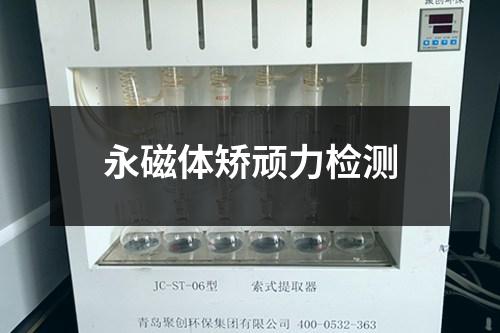 永磁體矯頑力檢測
