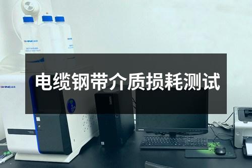 電纜鋼帶介質(zhì)損耗測(cè)試