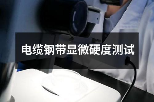 電纜鋼帶顯微硬度測(cè)試