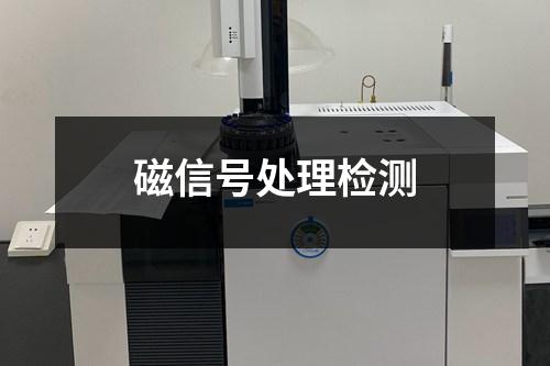磁信號(hào)處理檢測(cè)
