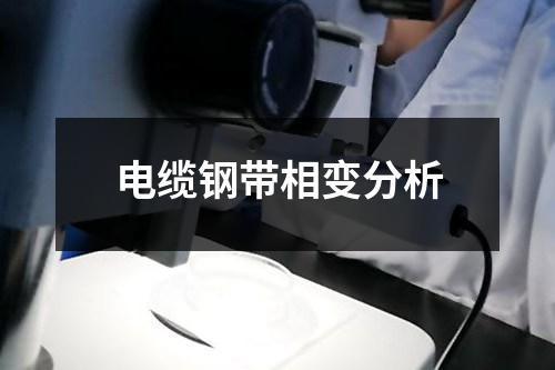 電纜鋼帶相變分析