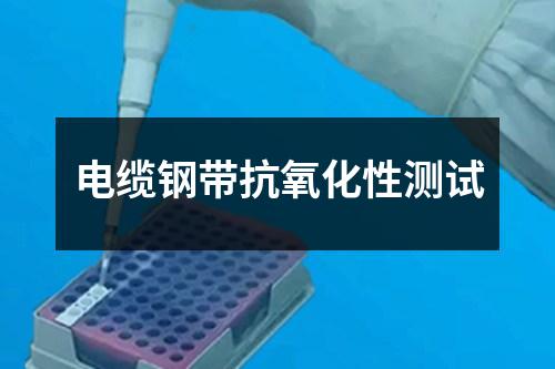 電纜鋼帶抗氧化性測試