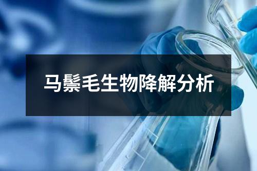 馬鬃毛生物降解分析