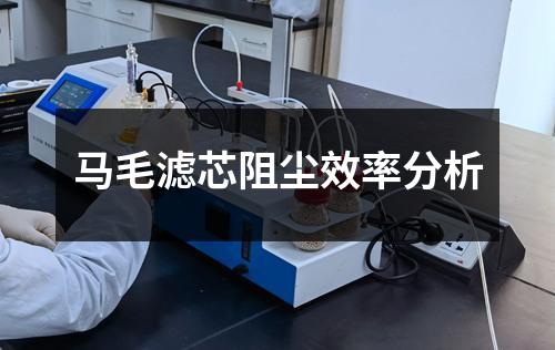 馬毛濾芯阻塵效率分析