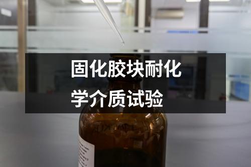 固化膠塊耐化學(xué)介質(zhì)試驗(yàn)
