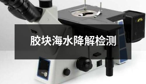 膠塊海水降解檢測(cè)