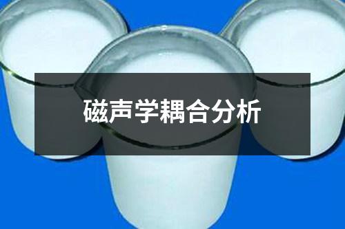 磁聲學(xué)耦合分析