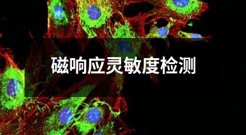 磁響應(yīng)靈敏度檢測