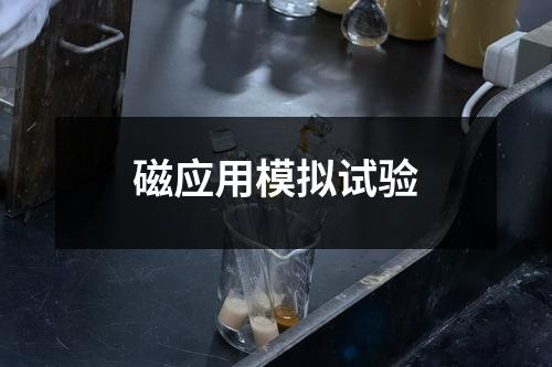 磁應用模擬試驗