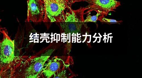 結(jié)殼抑制能力分析