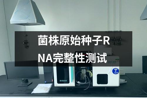 菌株原始種子RNA完整性測試