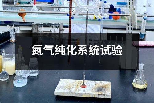 氮?dú)饧兓到y(tǒng)試驗(yàn)