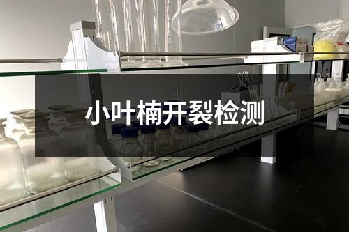 小葉楠開裂檢測