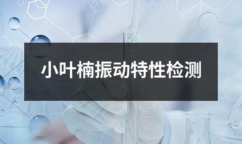 小葉楠振動特性檢測