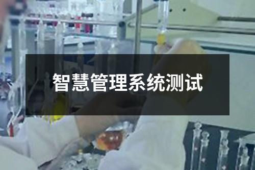 智慧管理系統(tǒng)測試