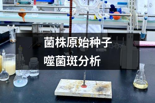 菌株原始種子噬菌斑分析
