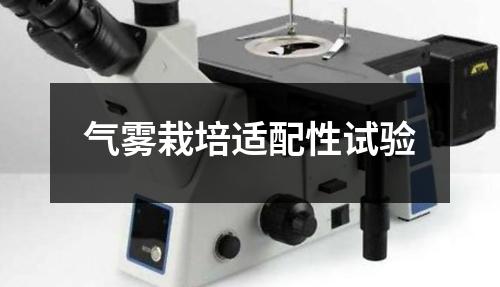 氣霧栽培適配性試驗